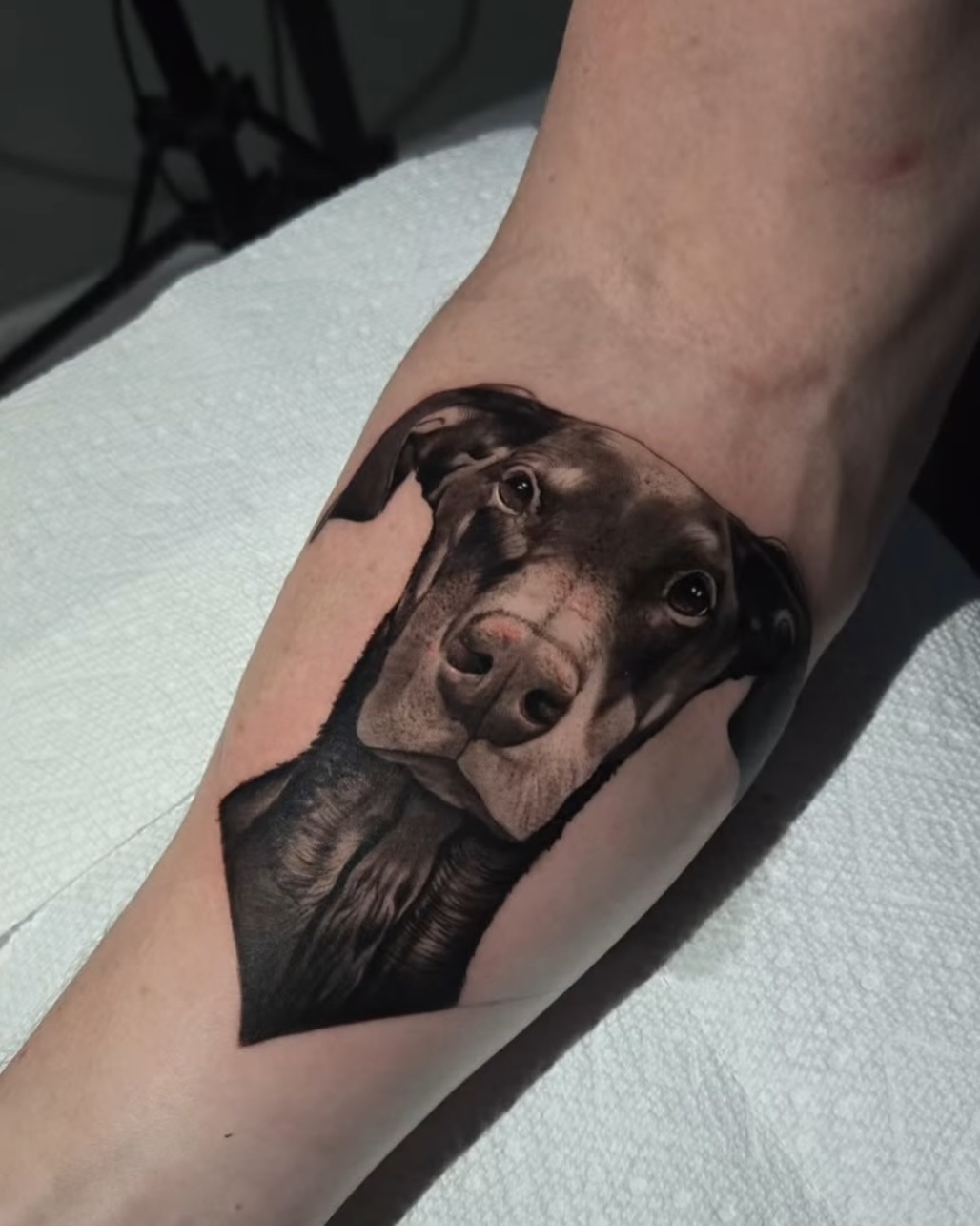 salvationtattoolounge