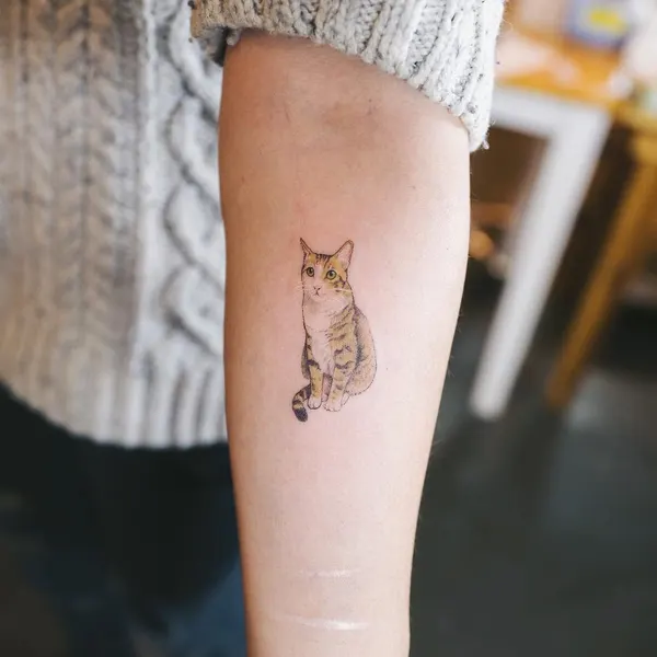 soltattoo