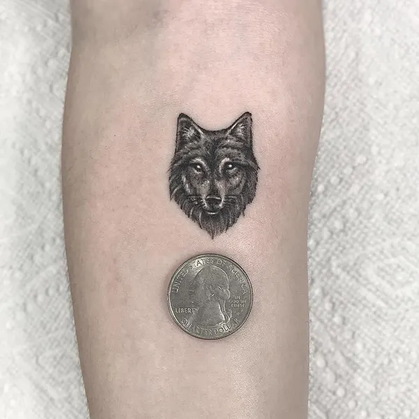 romeolacoste