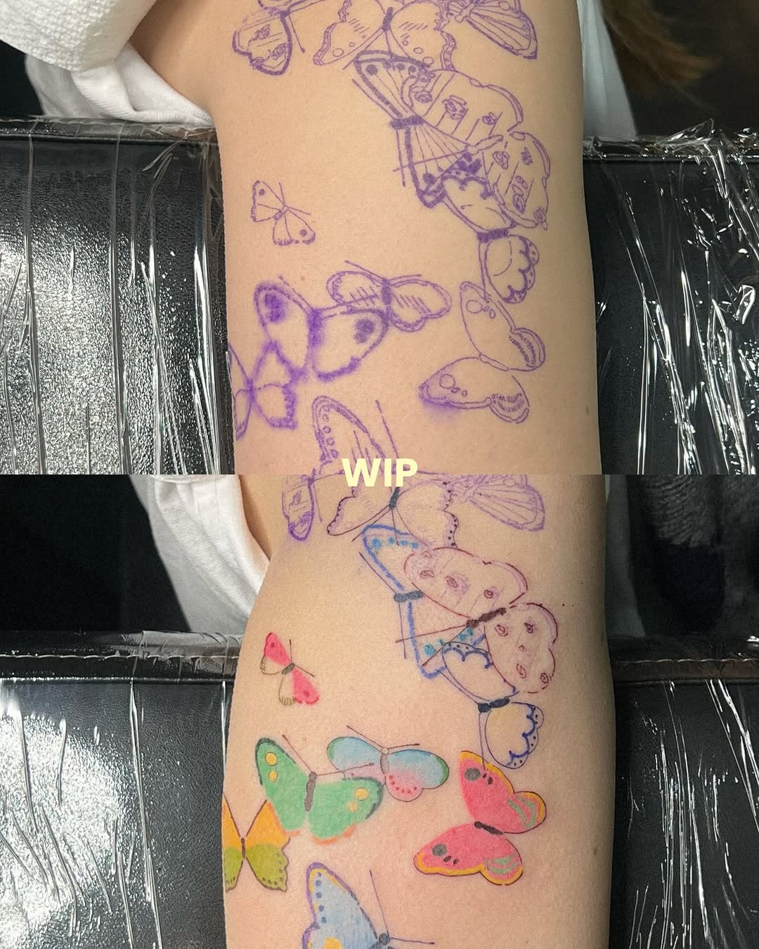 Animal, Nature, 나비