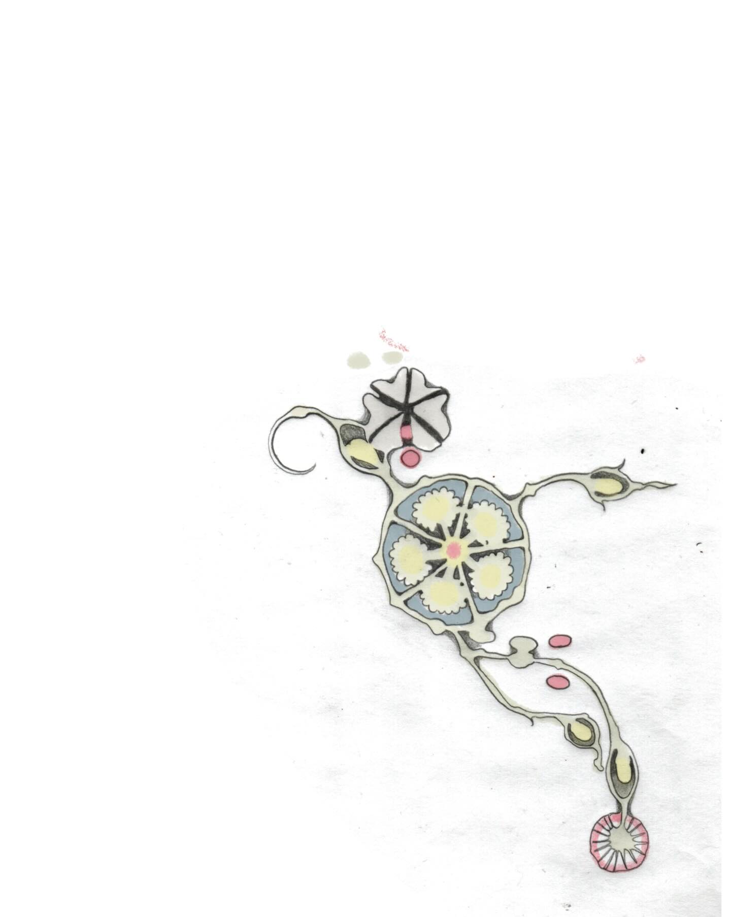 cymatic.garden