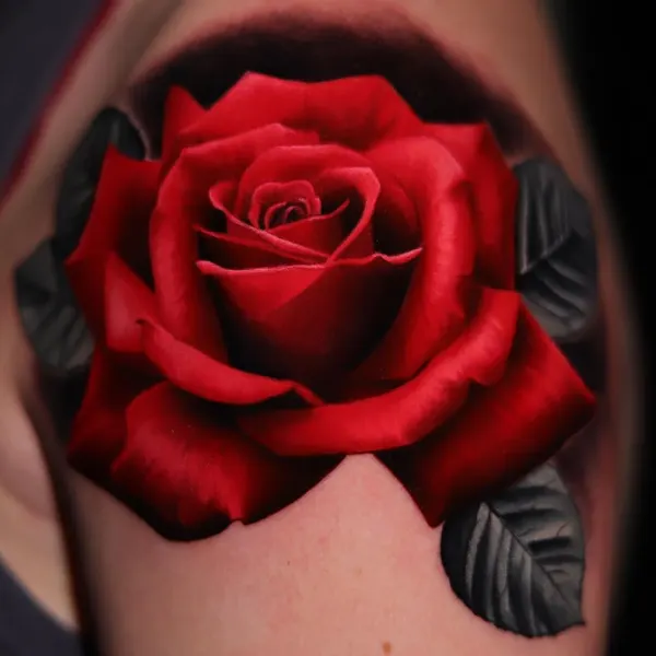 Rose, Flower