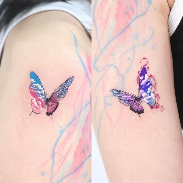 Animal, Nature, 변화