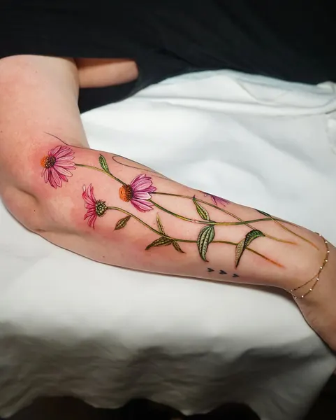 Flower, Rose, 양귀비