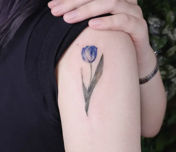 Flower, 백합, 튤립, 아이리스