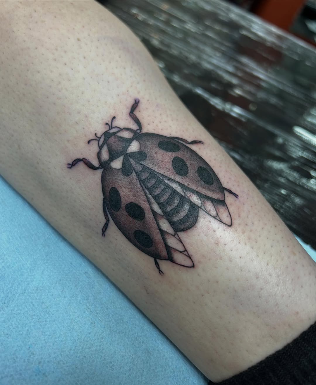 ellentattoos
