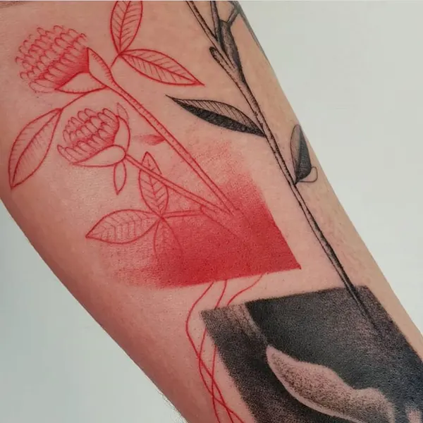 Flower, Rose