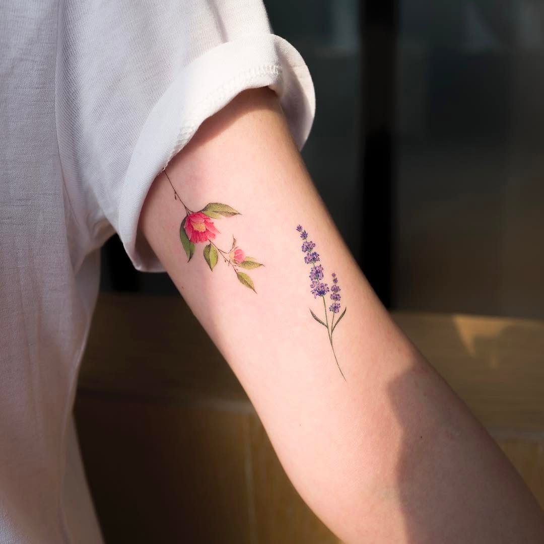 Flower, Rose