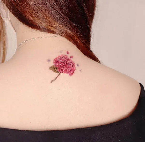 Flower, 모란, 벚꽃, 조개껍데기, 히비스커스, 매화, 은행잎, 한국 연꽃
