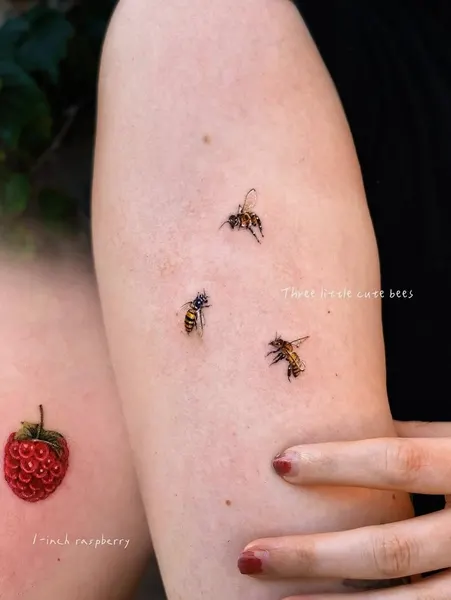 Animal, Nature
