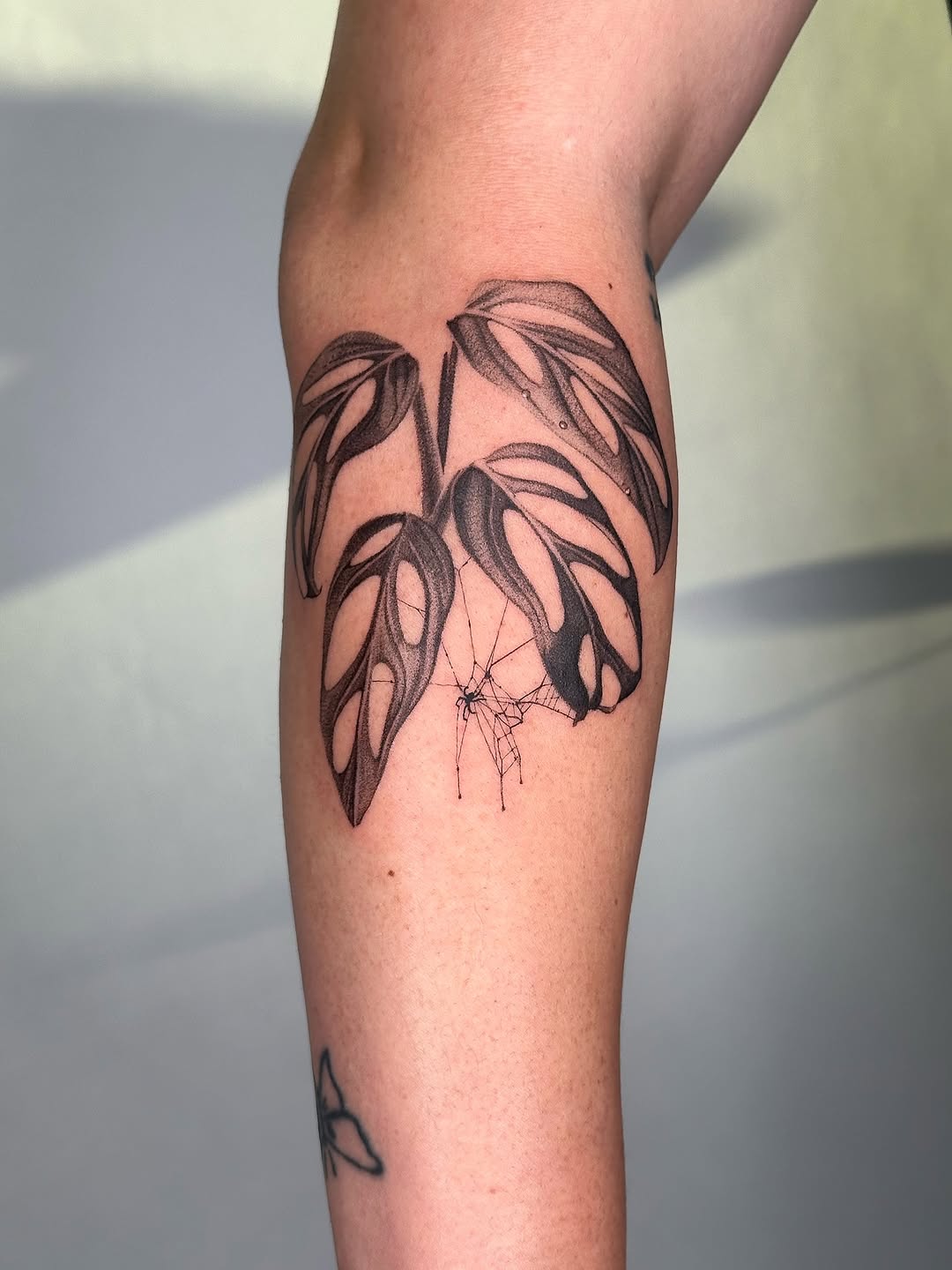 plantsnpokes