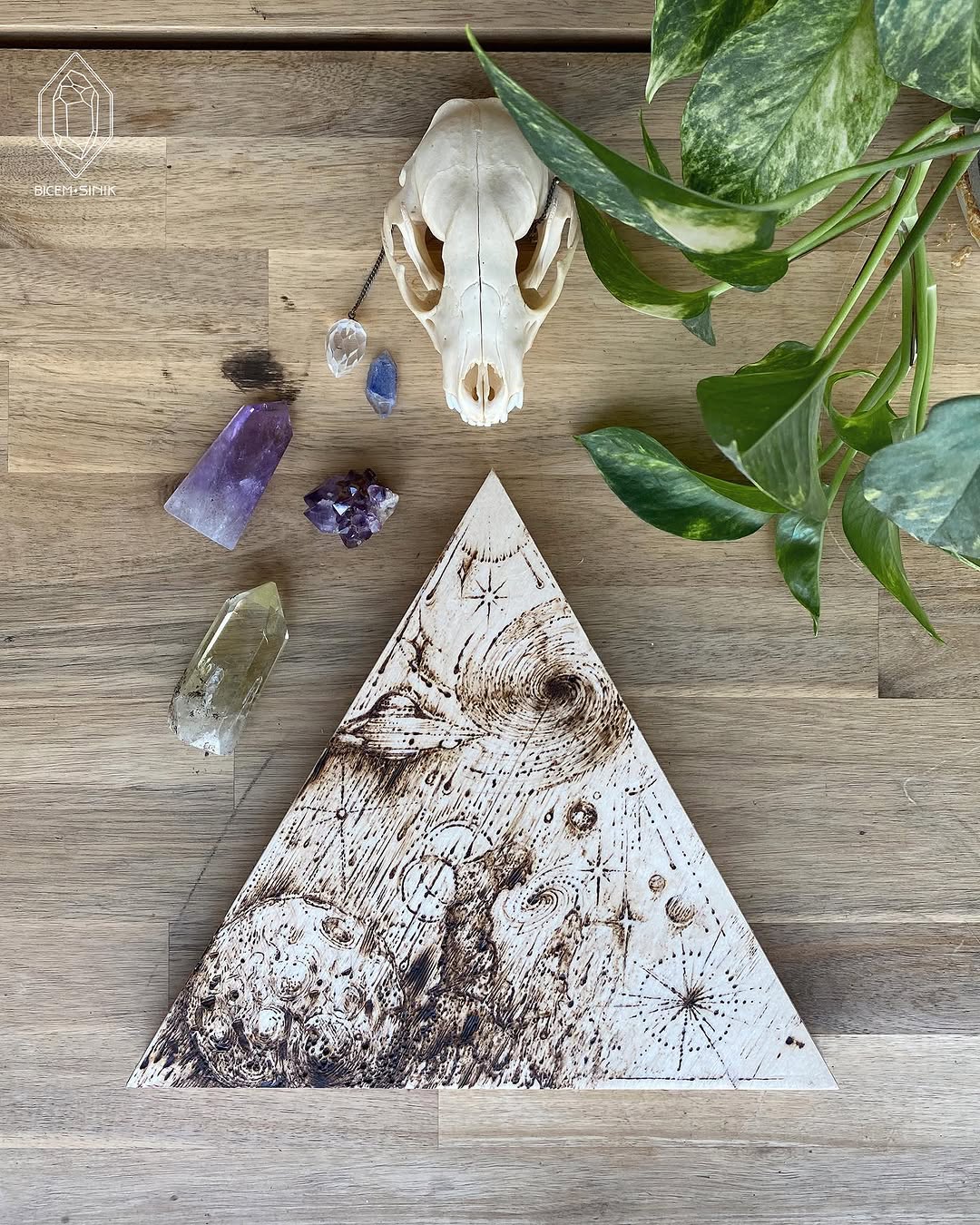 bicemsinik
