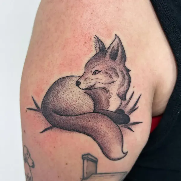Animal, 여우