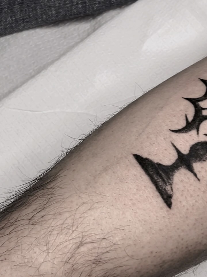 noia_________