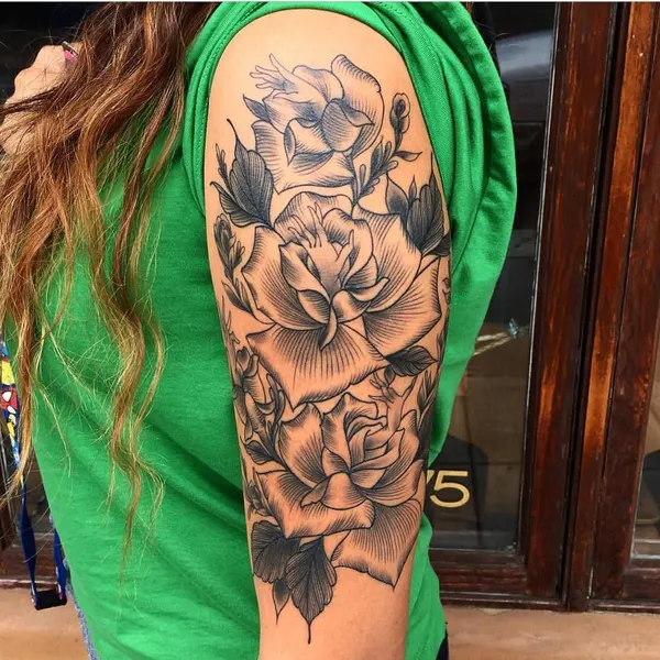 Flower, Rose, Nature
