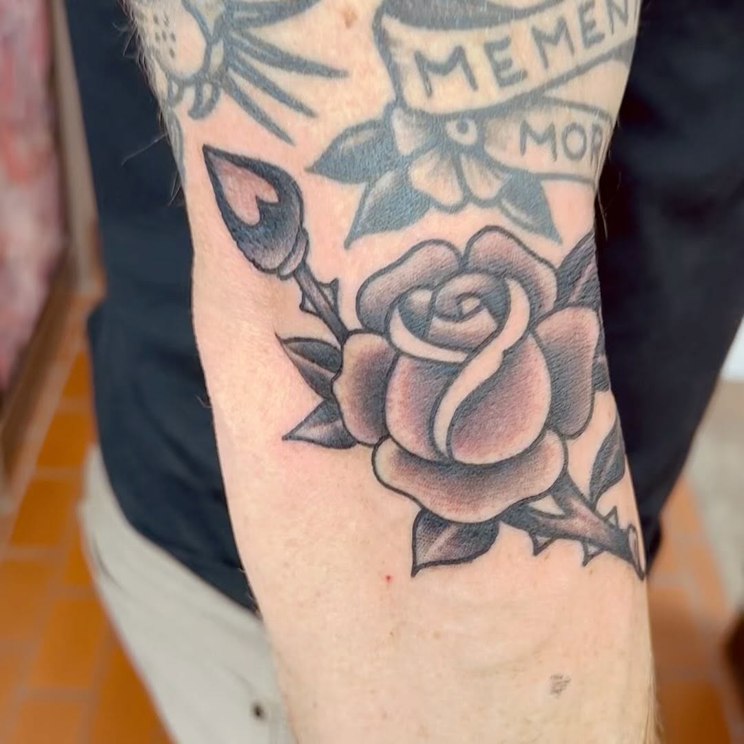 Flower, Rose