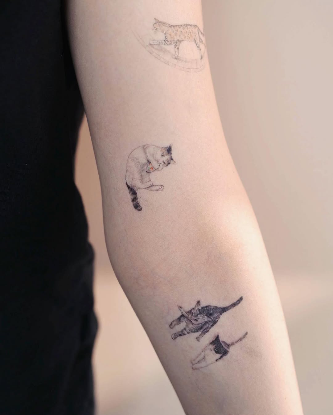 soltattoo