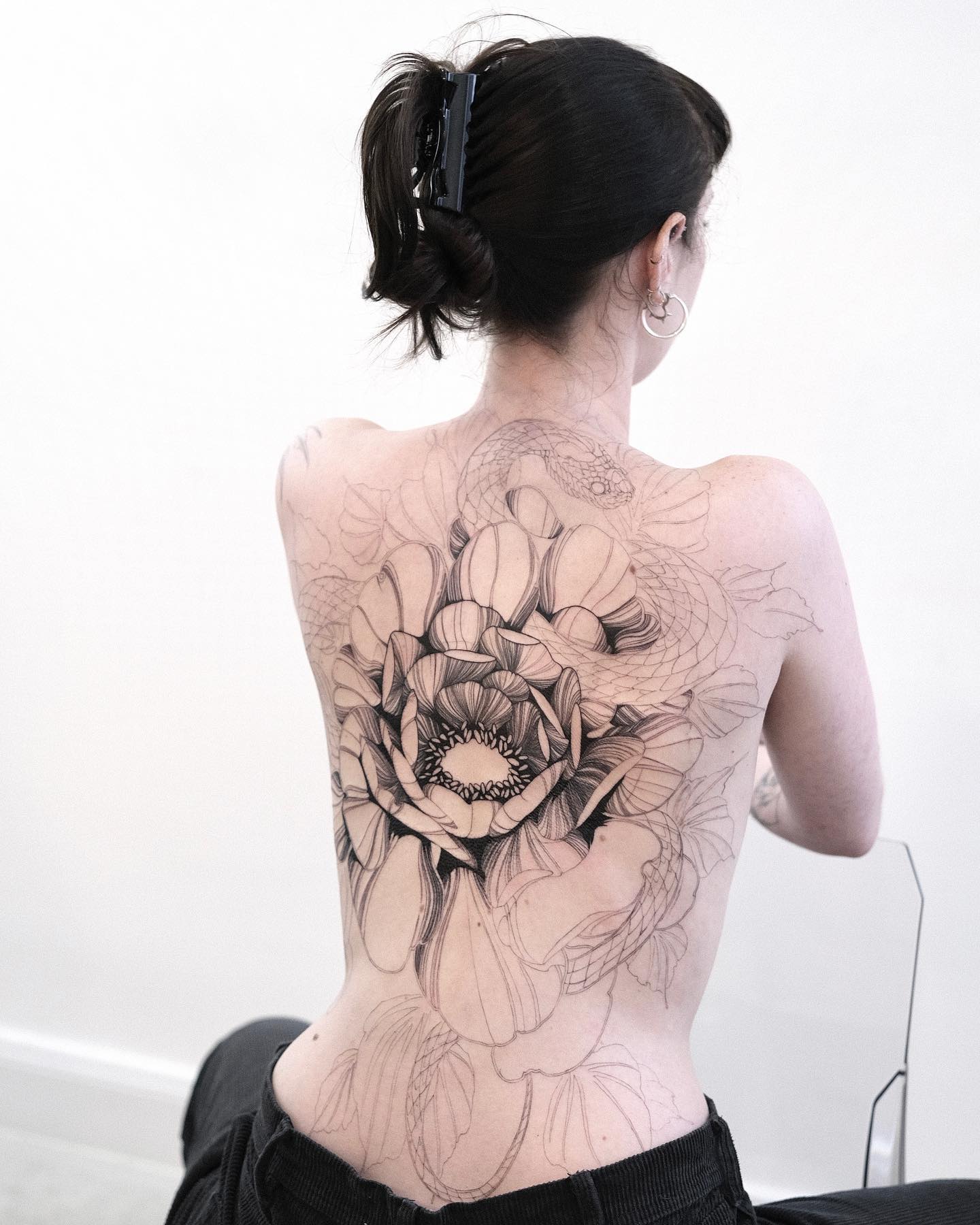 Flower, Nature, Rose