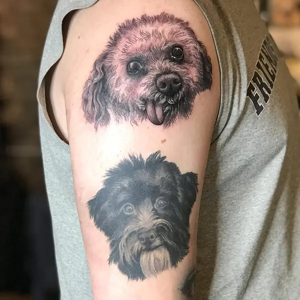 Animal