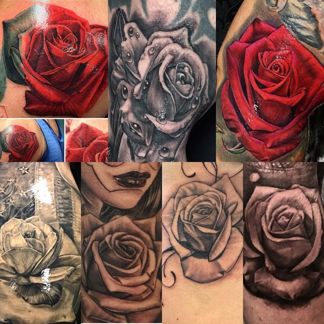 Flower, Rose