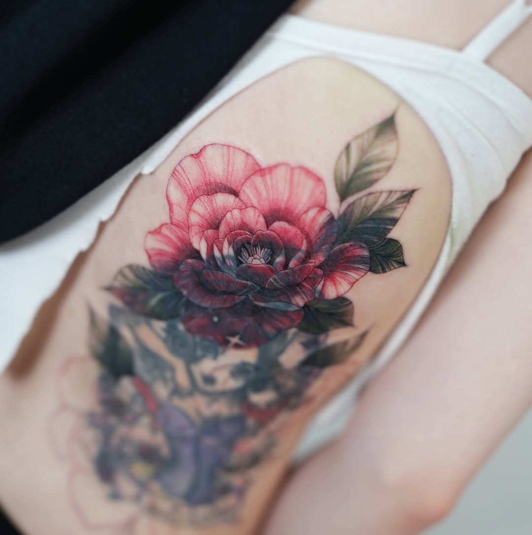 Flower, Rose, Nature