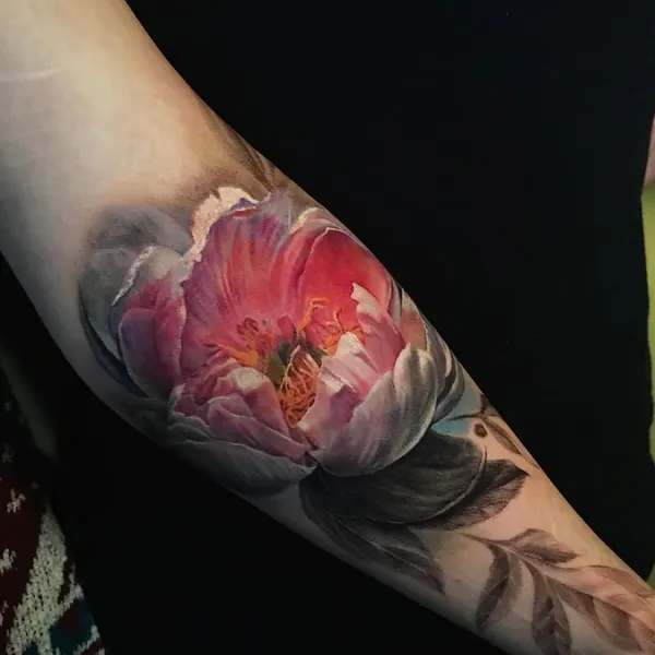 Flower, Rose