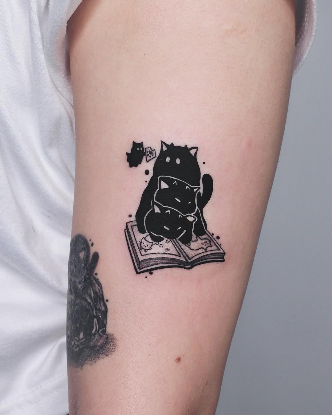 gnar.ttt