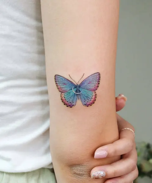 Animal, Nature, 나방