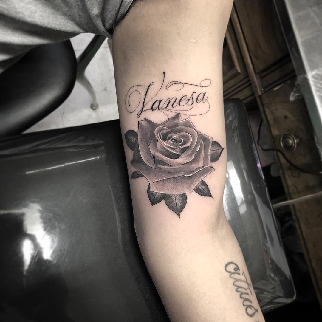 Flower, Rose
