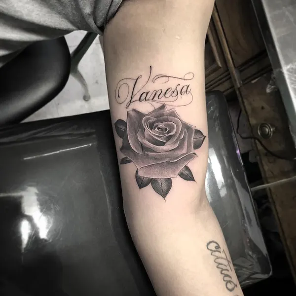 Flower, Rose