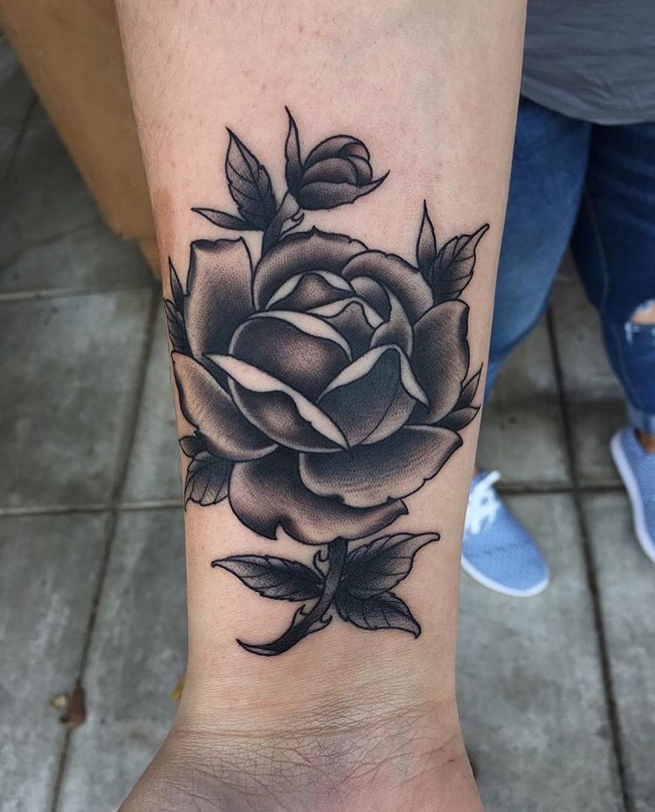 Rose, Flower