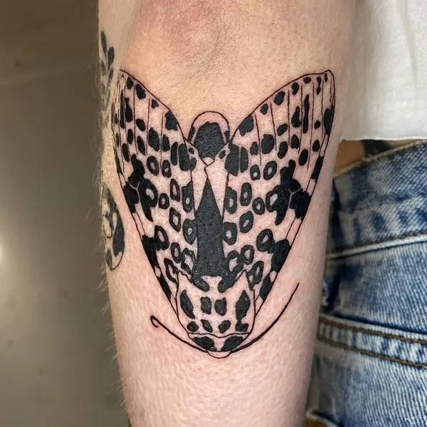 Animal, Nature