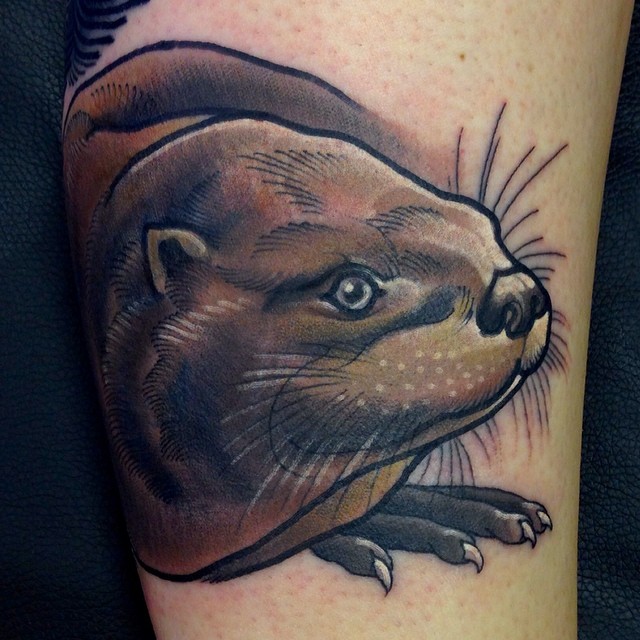Animal