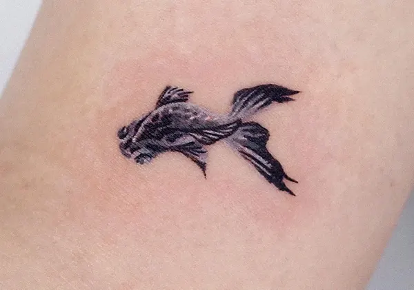Animal