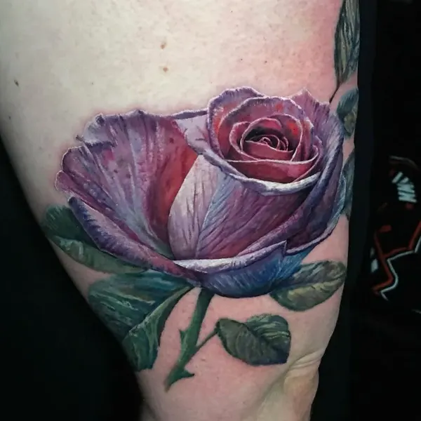 Flower, Rose