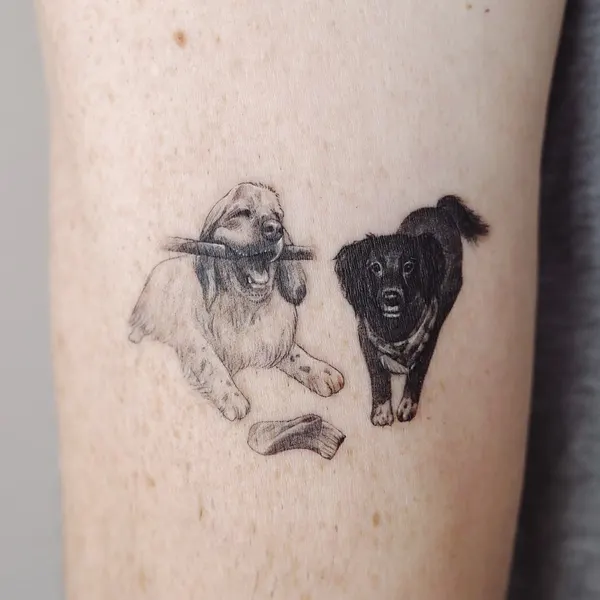 Animal