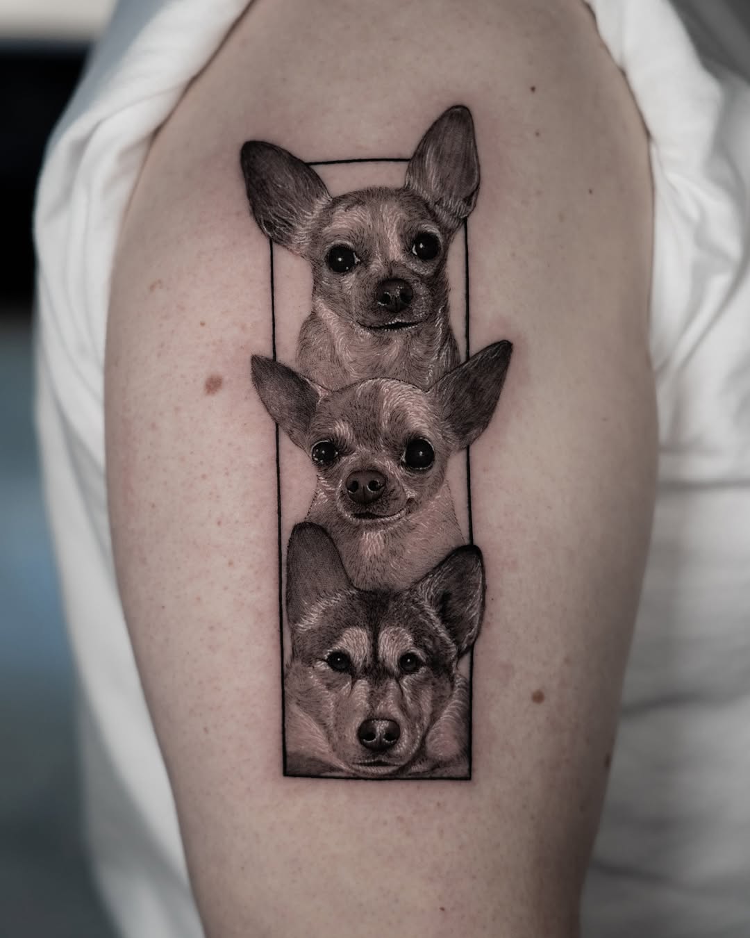 lewis.tattoo