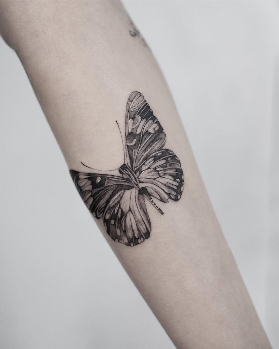 Animal, Nature