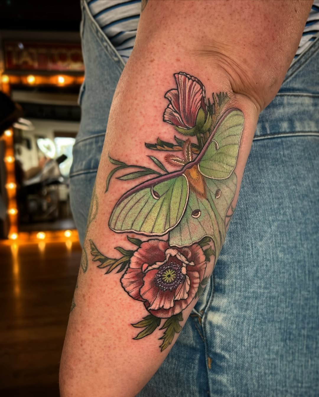 Animal, Nature, Flower