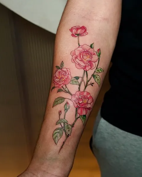 Flower, Rose, 양귀비