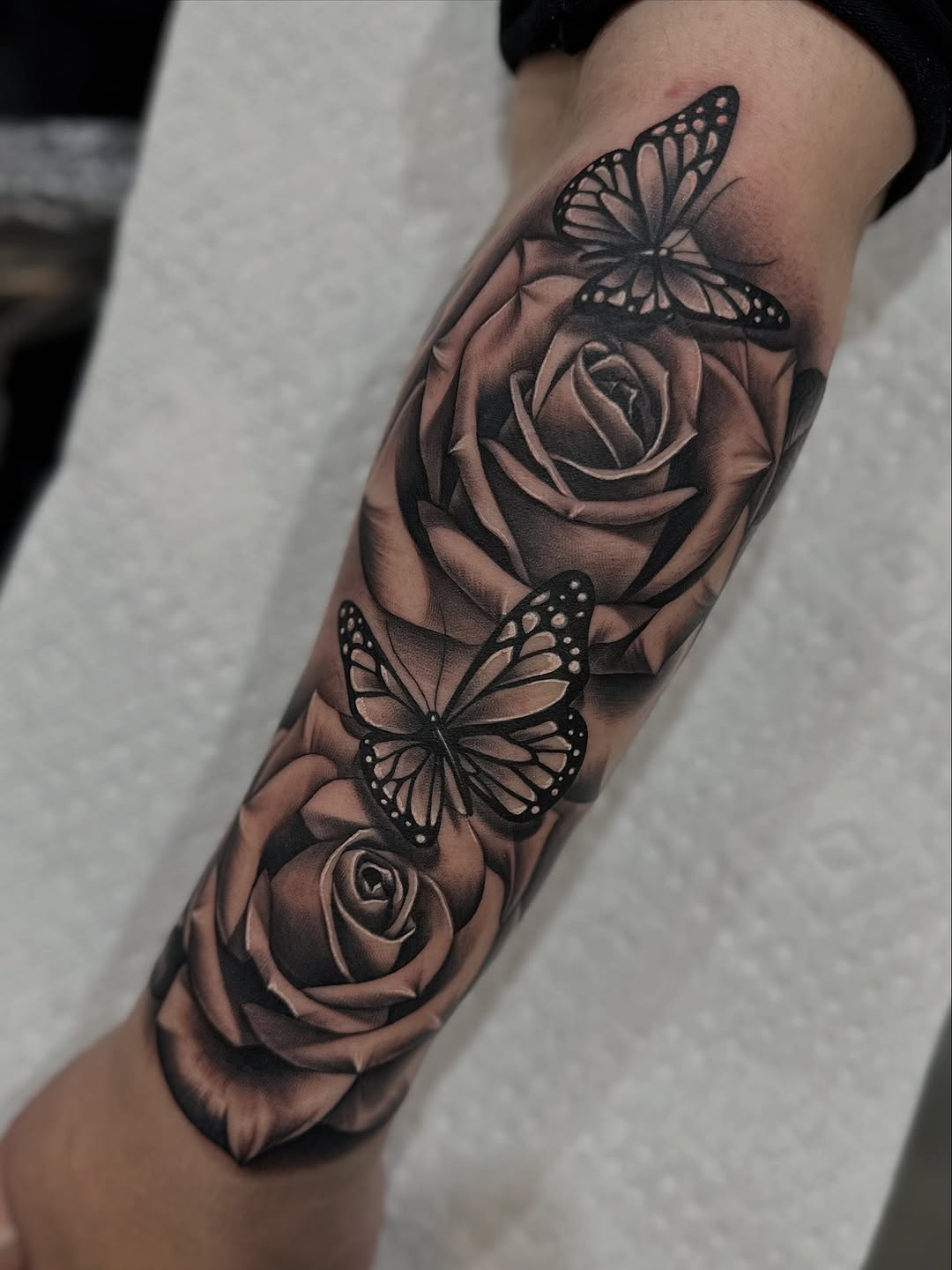 Animal, Nature, Flower