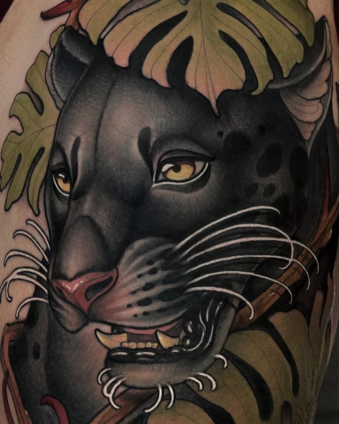 Tiger, Animal