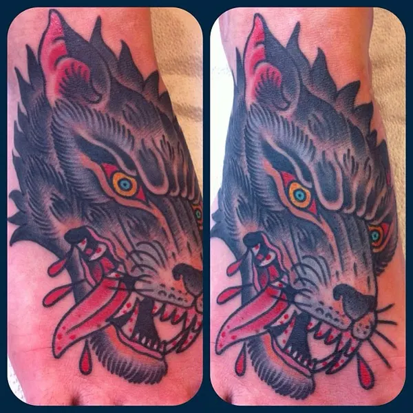 Tiger, Animal