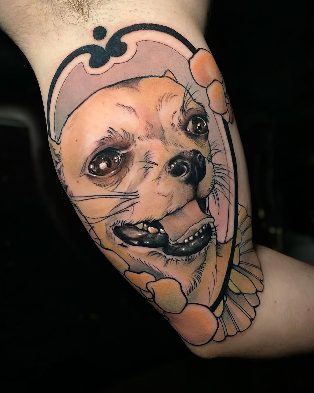 Animal