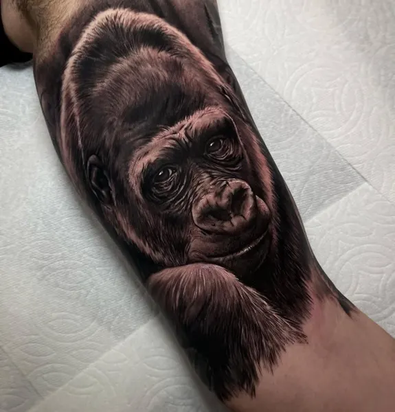 Animal, Tiger