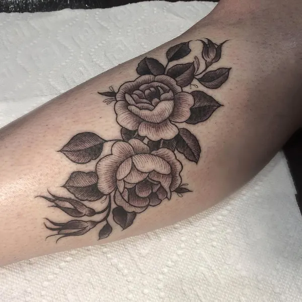 Flower, Rose
