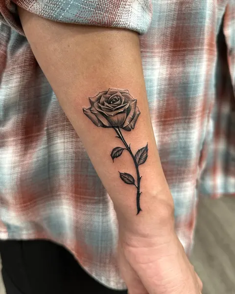 Flower, Rose