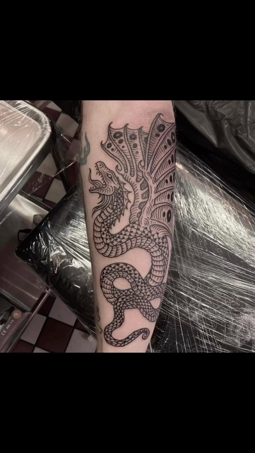 Dragon