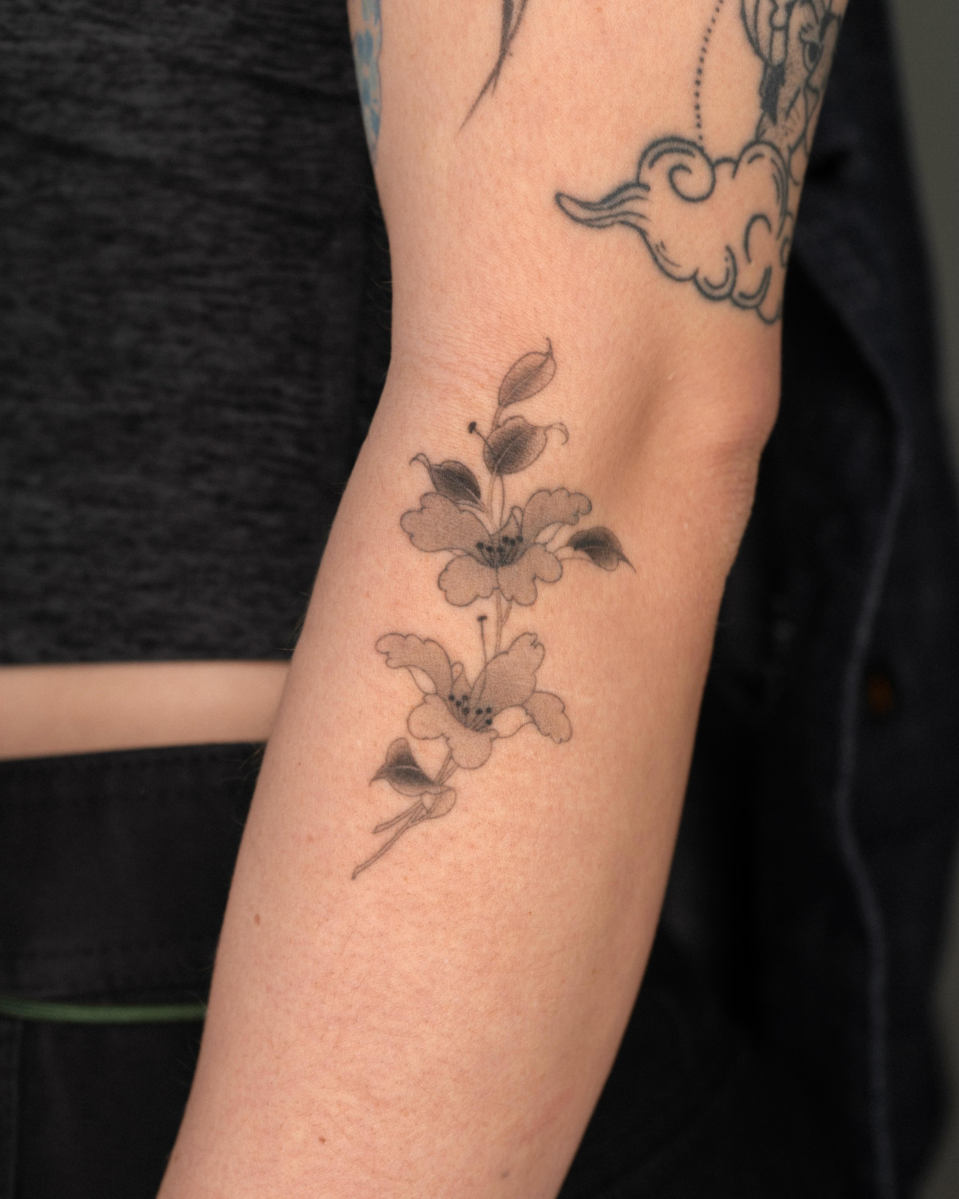 Flower, Rose