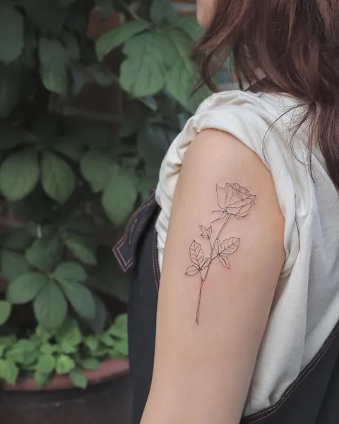 Flower, Rose